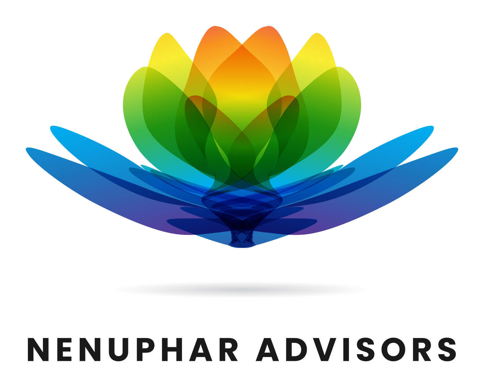 NENUPHAR ADVISORS