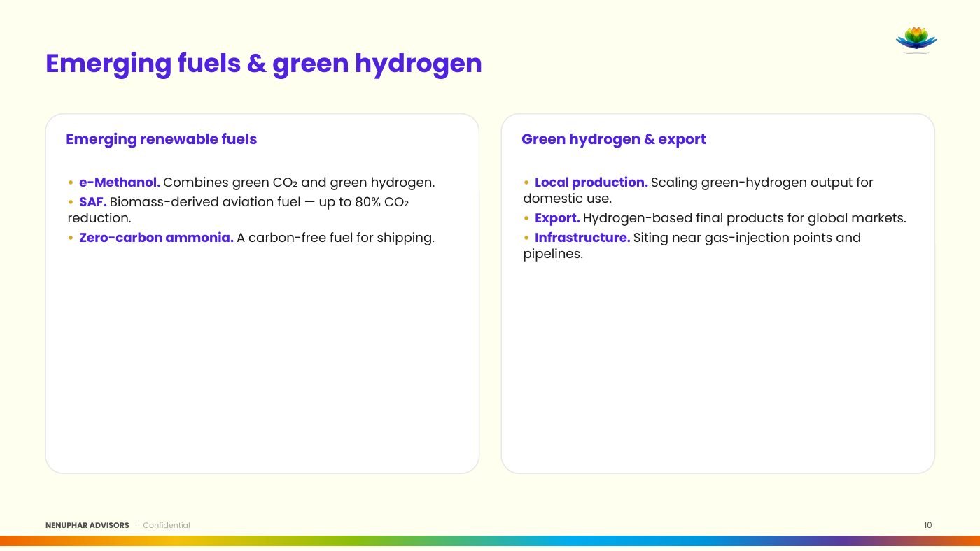 Nenuphar Advisors Group Presentation - slide 10 of 29